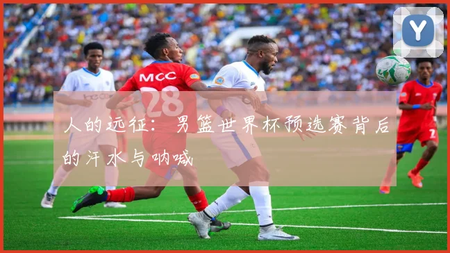 人的远征:男篮世界杯预选赛背后的汗水与呐喊