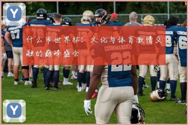 什么市世界杯:文化与体育激情交融的巅峰盛会