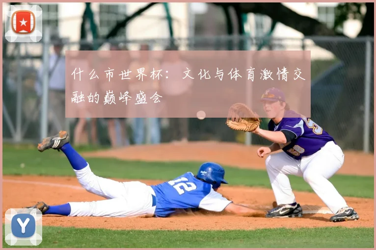什么市世界杯:文化与体育激情交融的巅峰盛会
